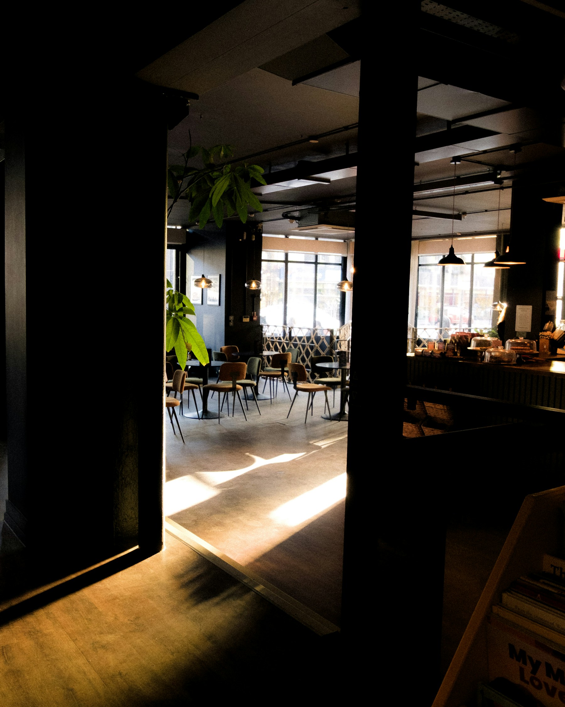 静かな光が差し込む落ち着いたカフェの店内